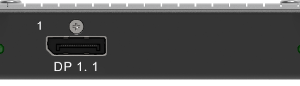 H_2xDP1.1 Input Card